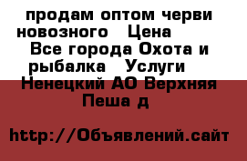 продам оптом черви новозного › Цена ­ 600 - Все города Охота и рыбалка » Услуги   . Ненецкий АО,Верхняя Пеша д.
